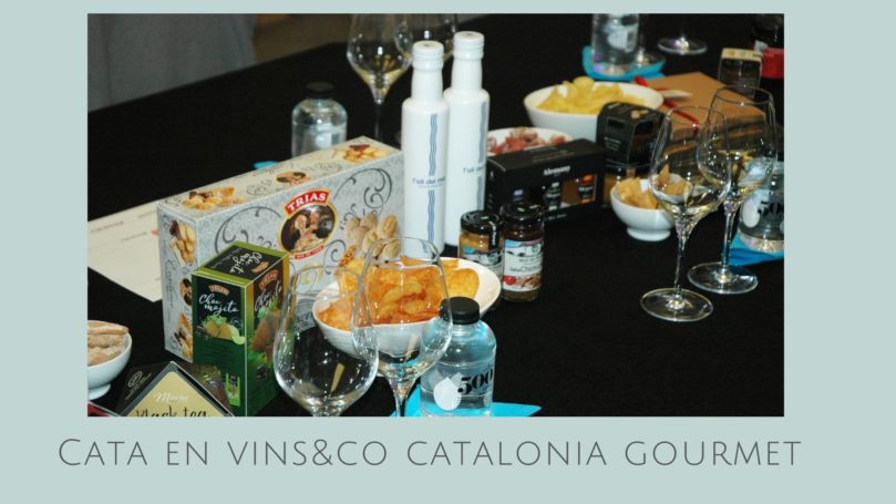 Cata en Vins&Co Catalonia Gourmet